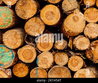 Ein Schuss eines Holzstapels, der übereinander gelegt wurde Stockfoto