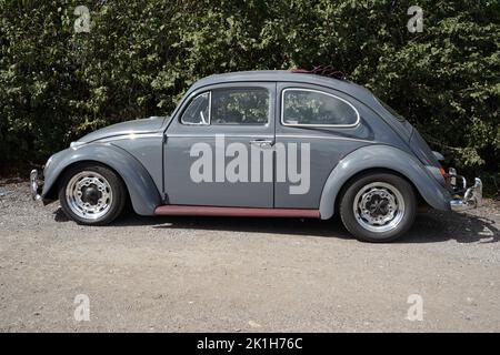 Exeter, UK-August 2022: Vokswagen Beetle (der Kafer), auf einer Oldtimer-Ausstellung auf der Greendale Farm bei Exeter Stockfoto