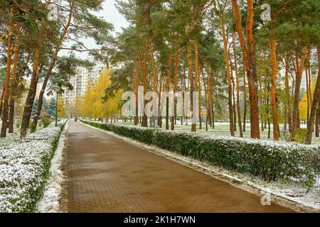 Erster Schneefall im bunten Stadtpark im Herbst. Einsame Bank auf Gasse unter Bäumen brabches mit goldenen, grünen, orange Laub weißen Schnee covere Stockfoto