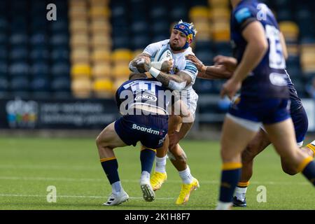 Worcester, Großbritannien. 18. September 2022. Jack Nowell von Exeter Chiefs wird von Alex Hearle von Worcester Warriors während des Gallagher Premiership-Spiels Worcester Warriors gegen Exeter Chiefs im Sixways Stadium, Worcester, Großbritannien, 18.. September 2022 (Foto von Nick Browning/News Images) in Worcester, Großbritannien am 9/18/2022 angegangen. (Foto von Nick Browning/News Images/Sipa USA) Quelle: SIPA USA/Alamy Live News Stockfoto