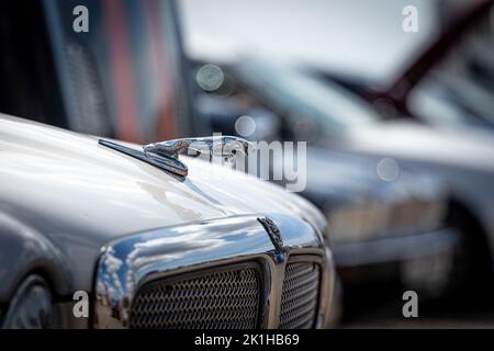 Exeter, UK-August 2022: Nahaufnahme des Haubenornaments (Haubenornament) des Jaguar Maskottchen mit selektivem Fokus Stockfoto