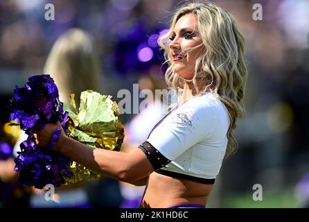 Baltimore, USA. 18. September 2022. Ein Cheerleader der Baltimore Ravens tritt während der ersten Hälfte eines NFL-Spiels im M&T Bank Stadium in Baltimore, Maryland, am Sonntag, dem 18. September 2022, gegen die Miami Dolphins auf. Foto von David Tulis/UPI Credit: UPI/Alamy Live News Stockfoto