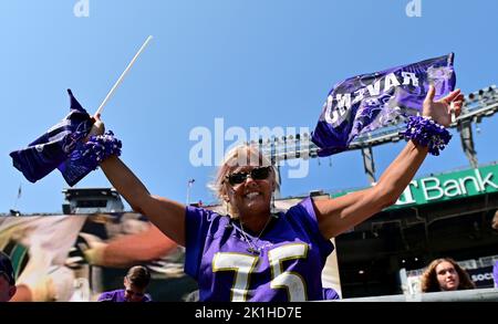 Baltimore, USA. 18. September 2022. Ein Fan von Baltimore Ravens bereitet sich während der ersten Hälfte eines NFL-Spiels im M&T Bank Stadium in Baltimore, Maryland, am Sonntag, dem 18. September 2022, auf ein Match gegen die Miami Dolphins vor. Foto von David Tulis/UPI Credit: UPI/Alamy Live News Stockfoto