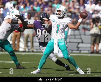 Baltimore, USA. 18. September 2022. Miami Dolphins QB Tua Tagovailoa (1) am 18. September 2022 im M&T Bank Stadium in Baltimore, Maryland, im Einsatz gegen die Baltimore Ravens. Quelle: Cal Sport Media/Alamy Live News Stockfoto