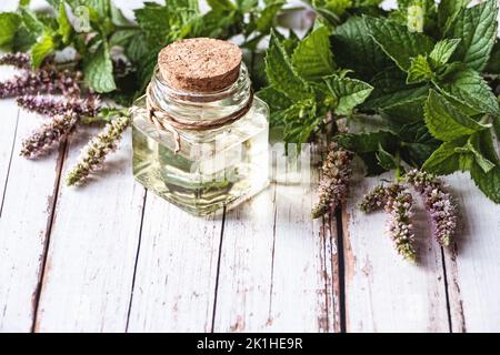 Duftendes Minzöl in einer Schüssel, Ringelblumen auf weißem Hintergrund, Kräutermedizin flach liegend Stockfoto