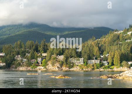 Seehunde ruhen auf felsigen Inseln im Eagle Harbour, West Vancouver, British Columbia, Kanada Stockfoto