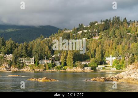 Seehunde ruhen auf felsigen Inseln im Eagle Harbour, West Vancouver, British Columbia, Kanada Stockfoto