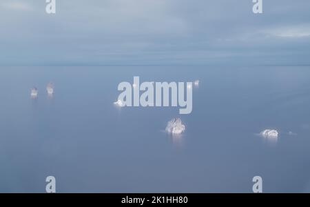 Die Überreste alter Holzstapel, die mit Salzkristallen bedeckt sind und über der Oberfläche des Salzsees Elton ragen Stockfoto