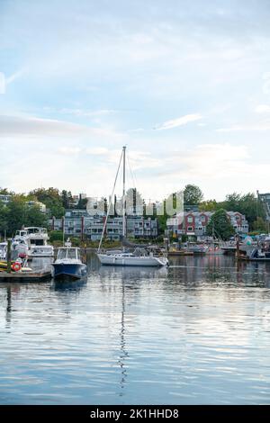 Segelboot, das zurück zum Fisherman's Wharf Dock auf Granville Island in Vancouver, Kanada, segelt. Stockfoto