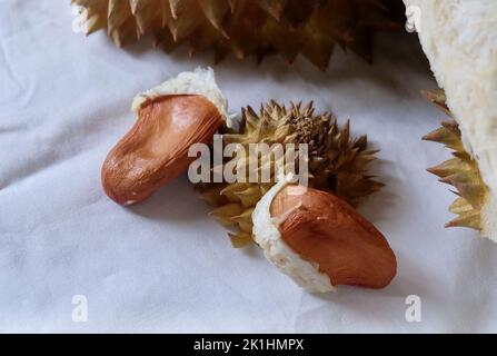 Leeres Peel der Durischen Frucht mit Samen. Durian ist einer der beliebtesten und König der Früchte in Thailand. Stockfoto