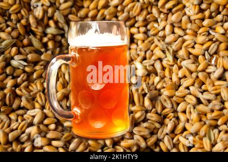 Defokussieren Sie den Becher mit hellem Bier auf dem Hintergrund von Getreideweizen. Nahaufnahme von zwei Händen klirrenden Bier stein Gläser. Nicht fokussiert. Stockfoto