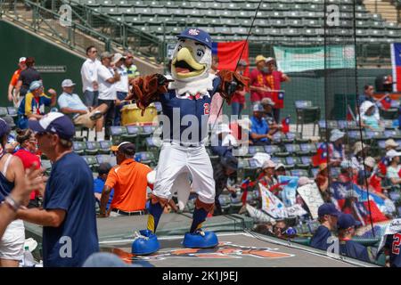 In den USA, Florida. USA; das Maskottchen des Teams USA, Sam der Adler, lässt die Fans beim Gold Medal Game gegen das chinesische Taipei des 18-U World Basebal jubeln Stockfoto