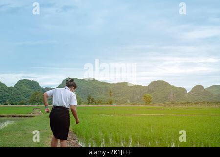 Junge landwirtschaftliche Studentin trägt Gesichtsmaske in Uniform Studie und überprüfen Reispflanzen in Reisfeldern. Asiatische junge Frau Forscher Überwachung quali Stockfoto