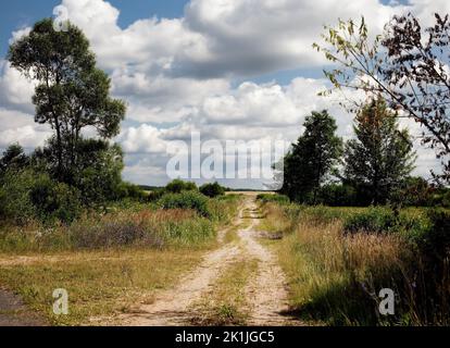 Eine unbefestigte Straße auf einem Feld unter einem bewölkten Himmel auf dem Land Stockfoto