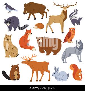 Waldtiere, Waschbär und Fuchs, Bär und Hirsch Stock Vektor