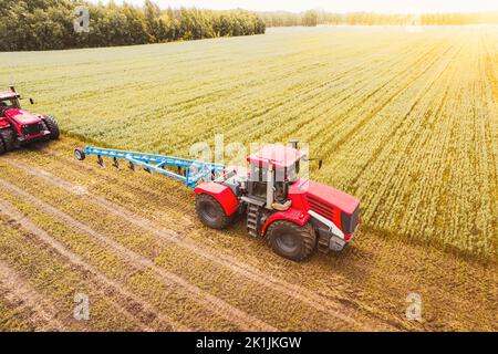 Luftaufnahme des Mähdreschers, der auf dem großen Weizenfeld arbeitet. Heuernte und Ernte im Frühherbst auf dem Feld. Traktor mäht trockenes Gras. Vorbereitung Stockfoto