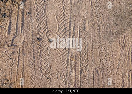 Fahrradreifenspuren und Fußabdrücke im Sand, Kopierraum Stockfoto