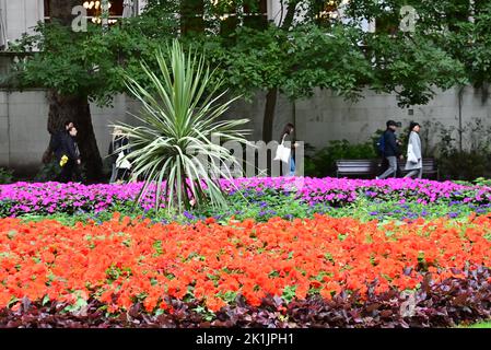 Staatsbegräbnis Ihrer Majestät Königin Elizabeth II., London, Großbritannien, Montag, 19.. September 2022. Menschen, die auf dem Weg zur Veranstaltung an bunten Blumen in Whitehall Gardens vorbeigehen. Stockfoto