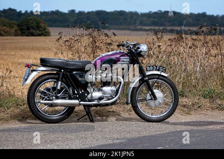 1963 Triumph Trophy TR6 Motorrad Stockfoto