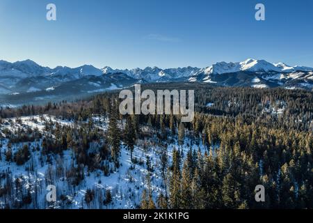 Panorama der polnischen Tatra Stockfoto