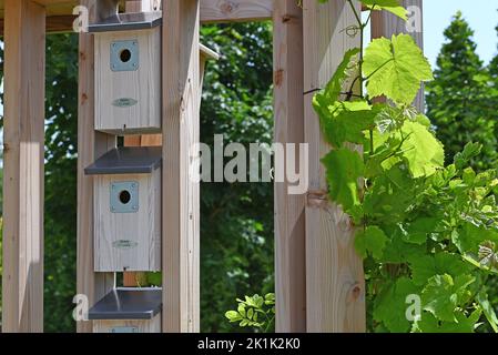 Natürliche Vogelhäuser aus Holz in einem Garten. Stockfoto