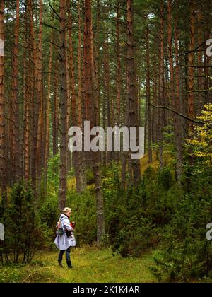 Einzelperson, die in einem tiefen Pinienwald steht und seinen Hund yorkshire Terrier in der Hand hält Stockfoto