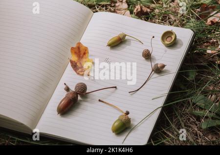 Nahaufnahme des Tagebuchs mit Hello Fall handgeschrieben, dekoriert mit gefallenen Eicheln Stockfoto