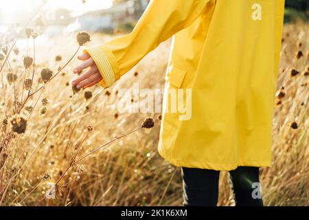 Weibliche Hand, die das nasse getrocknete Gras nach dem Regen berührt. Eine Frau in gelbem Regenmantel, die nach dem Regen im Abendlicht auf der Herbstwiese spazierend ist. N Stockfoto
