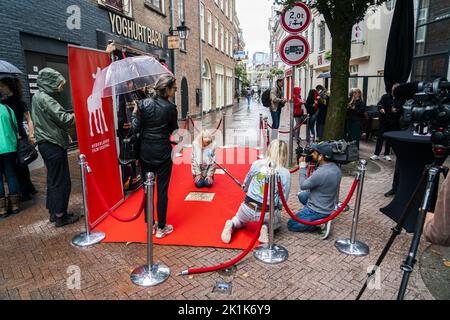 Utrecht, Niederlande. 19. September 2022. 2022-09-19 11:23:10 UTRECHT - Regisseur will Koopman auf dem Filmboulevard während des Netherlands Film Festival (NFF). Utrecht wird anderthalb Wochen lang in die Filmhauptstadt der Niederlande umbenannt, wo die neuesten Spiel-, Dokumentar-, Animations-, Kurzfilme, Serien- und VR-Produktionen präsentiert werden. ANP JEROEN JUMELET netherlands Out - belgium Out Credit: ANP/Alamy Live News Stockfoto