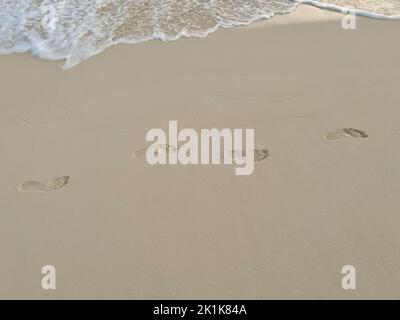 Menschliche Fußabdrücke auf dem nassen Sand eines tropischen Strandes. Stockfoto