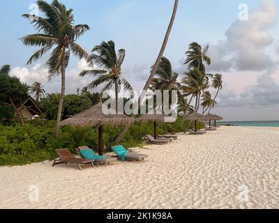 Blick auf einen wunderschönen, unberührten weißen Sandstrand mit Palmen und Liegestühlen mit Sonnenschirmen auf einer Insel auf den Malediven. Stockfoto