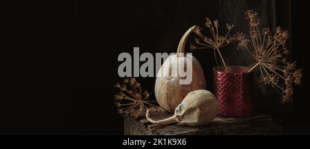 Herbstliche Komposition für Thanksgiving Day Stockfoto