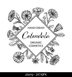 Calendula-Rahmen mit handgezeichneten Elementen. Vektorgrafik im Skizzenstil. Vintage-Verpackungsdesign Stock Vektor