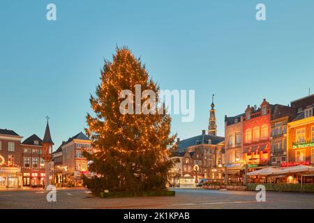 Den bosch, Niederlande - 21. Dezember 2021: Großer weihnachtsbaum mit Lichtern auf dem zentralen Marktplatz 'Markt', umgeben von Pubs, Restaurants und Sho Stockfoto