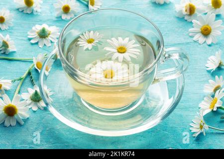 Kamillentee in einer Tasse mit losen Blumen, Kräuterheilkunde, auf blauem Hintergrund Stockfoto