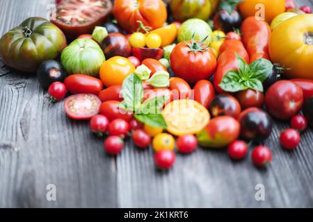Verschiedene Sorten von roten, gelben, grünen und schwarzen Tomaten mischen sich auf einem Holztisch. Frisch sortiert bunte Sommer Tomaten Hintergrund, Nahaufnahme. Food-Fotografie Stockfoto