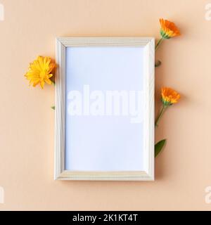 Orangefarbene Calendula-Blüten mit weißem Textrahmen auf orangefarbenem Hintergrund. Sommer flach liegend Stockfoto