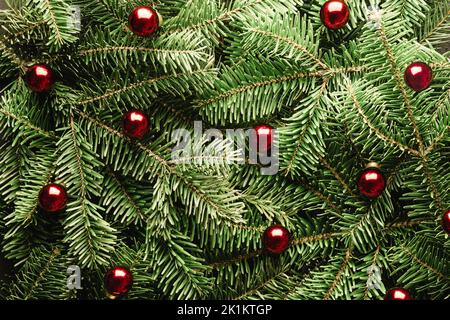 Kreative Weihnachtsferien Hintergrund mit Tannenzweigen und roten weihnachtskugeln Nahaufnahme. Flach liegend, Draufsicht. Frohe Weihnachten Stockfoto