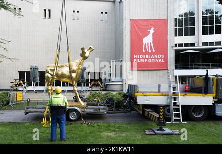 Utrecht, Niederlande. 19. September 2022. 2022-09-19 13:23:17 UTRECHT - die Platzierung der großen goldenen Kalbsstatue, der Ikone des Niederländischen Filmfestivals (NFF) in der Stadschouwburg Utrecht. Utrecht wird anderthalb Wochen lang in die Filmhauptstadt der Niederlande umbenannt, wo die neuesten Spiel-, Dokumentar-, Animations-, Kurzfilme-, Serien- und VR-Produktionen präsentiert werden.ANP JEROEN JUMELET netherlands Out - belgium Out Credit: ANP/Alamy Live News Stockfoto