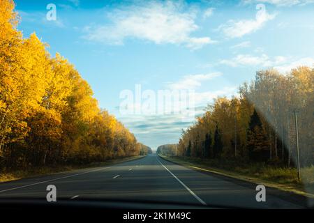 Herbstlandschaft hinter dem Autoglas. Die Straße, die in die Ferne führt. Vorderansicht. Stockfoto