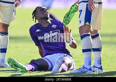 Stadion Artemio Franchi, Florenz, Italien, 18. September 2022, Christian Michael Kouakou Kouame (ACF Fiorentina) wurde während des ACF Fiorentina gegen Hel verletzt Stockfoto