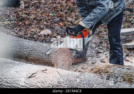 Kettensäge Nahaufnahme eines Holzfällers, der einen großen dicken Baumstamm sägt, schneidet ein auf dem Boden liegendes, enges Baumfragment ab, Sägemehl fliegt zu den s Stockfoto