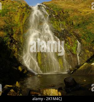 Pistyll Y Gaseg, Wasserfall, Porth Ysgo, Lleyn Peninsula, Nordwales, Stockfoto