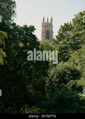York Minster / Cathedral ragt über die Sommerbäume von York, North Yorkshire, England Stockfoto