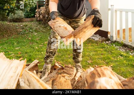 Eine Frau in legerer Kleidung sammelt Buchenholz. Brennholz wurde in den Vorgarten geliefert und wird für den Winter auf einem Holzregal gelagert. Stockfoto