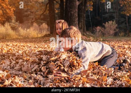 Kleines Mädchen 3-4 Jahre alt und Junge 9-10 Jahre alt hocken im Herbst im Park in den Strahlen der untergehenden Sonne und Abholung große Armvoll von Eichenblättern Stockfoto