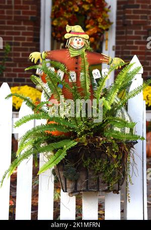 Autumn Scarecrow begrüßt die Besucher mit offenen Armen. Er sitzt in einem Topf mit einem Luftfarn. Tor und Zaun sind weiße Streikposten. Stockfoto