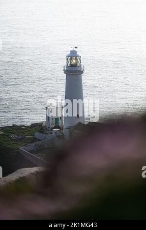 Kleine Auswahl an Fotos, die auf Anglesey aufgenommen wurden Stockfoto