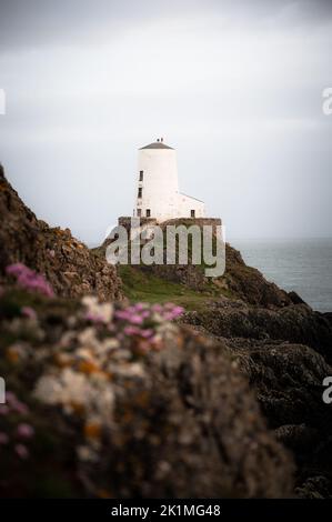 Kleine Auswahl an Fotos, die auf Anglesey aufgenommen wurden Stockfoto