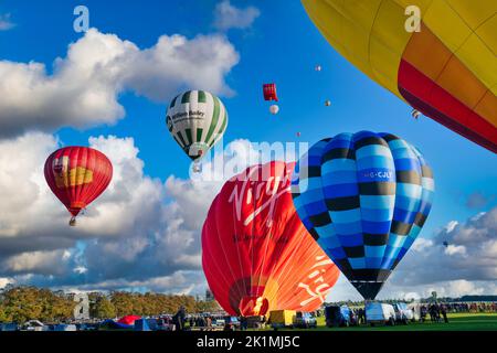 Bei der Yorkshire Balloon Fiesta, York, Großbritannien, bereiten sich zwei gefesselte Heißluftballons vor, mit zahlreichen Ballons in voller Höhe über ihnen abzuheben. Stockfoto